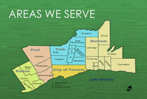 Areas We Serve